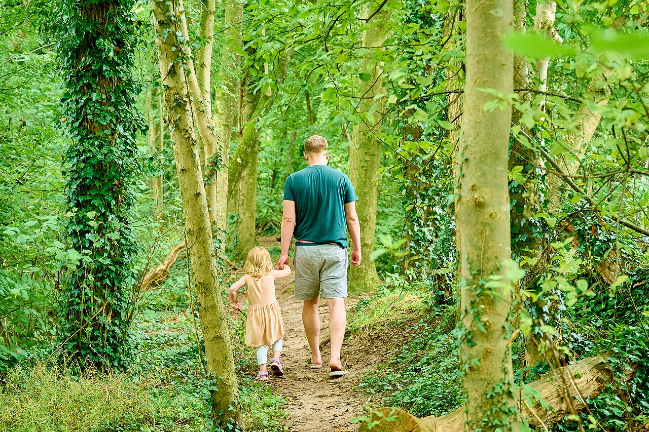 Padre e hija caminando por sendero forestal en camping CAPFUN Wieskamp en Winterswijk Henxel.