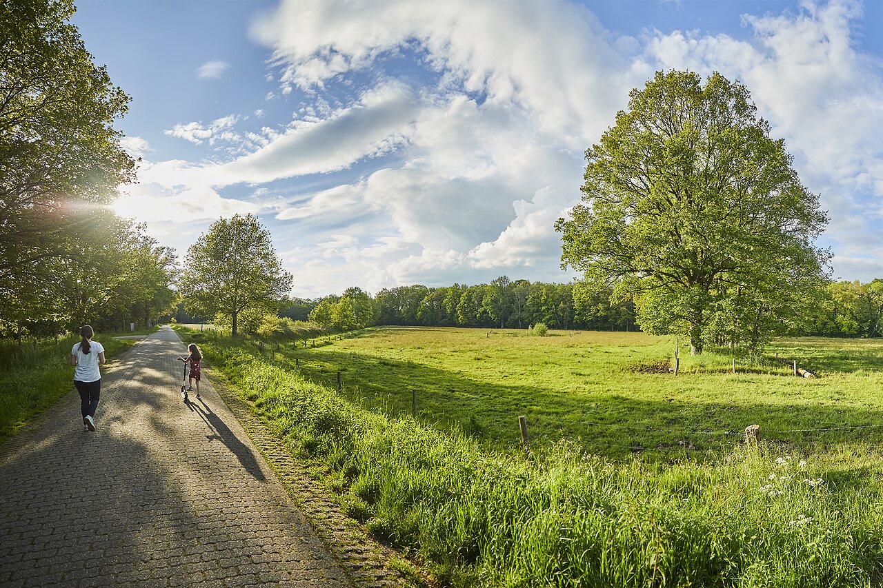Camino pavimentado, ni�o en patinete, naturaleza en CAPFUN het Winkel en Winterswijk.
