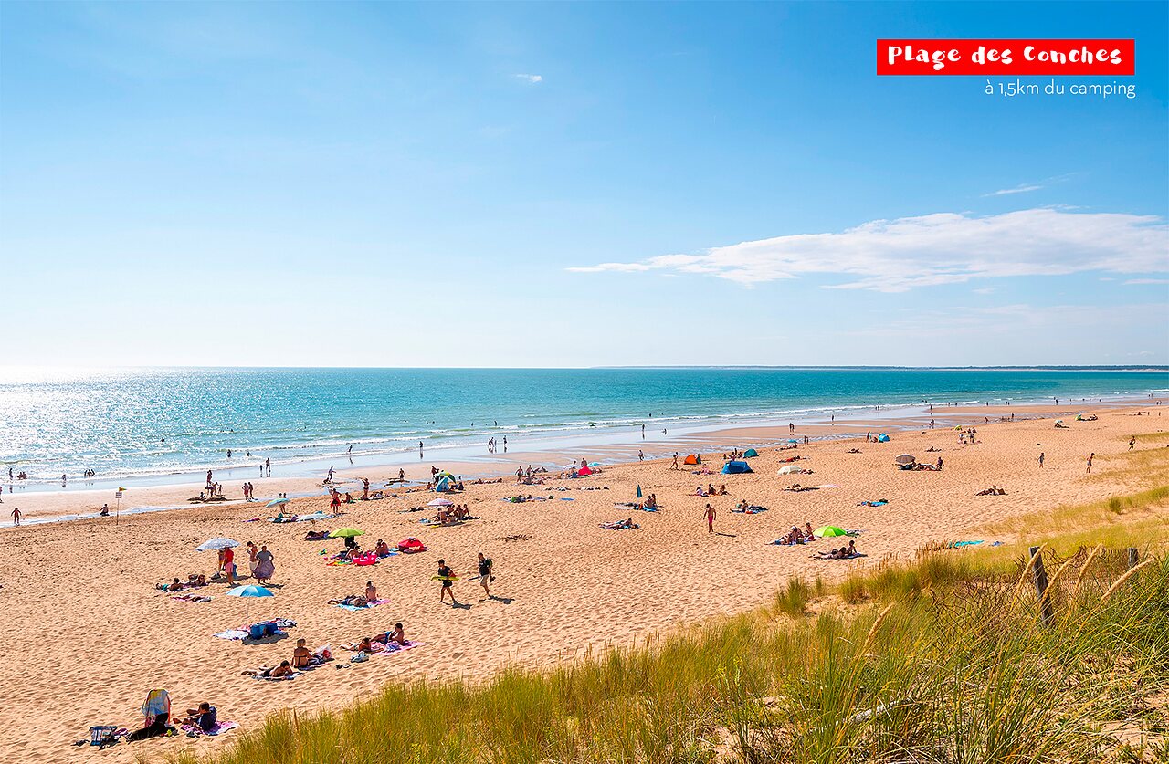 Playa des Conches, arena fina, ba�o, camping CAPFUN Zagarella Longeville-sur-Mer (85).